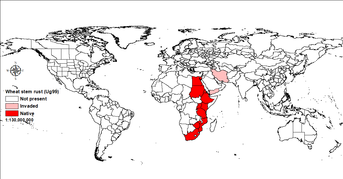 World map showing distribution of wheat stem rust