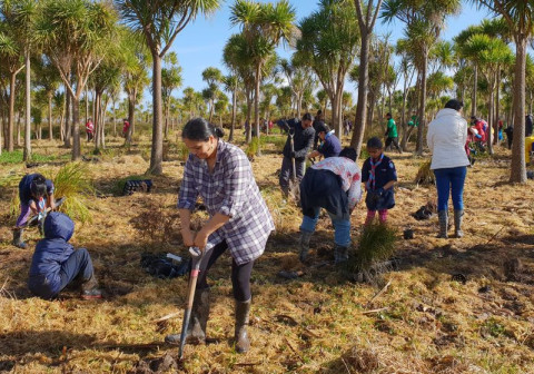 community planting2 1