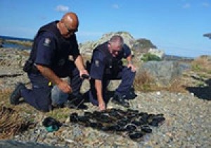 Two honorary fishery officers kneeling down on a beach counting seized paua.