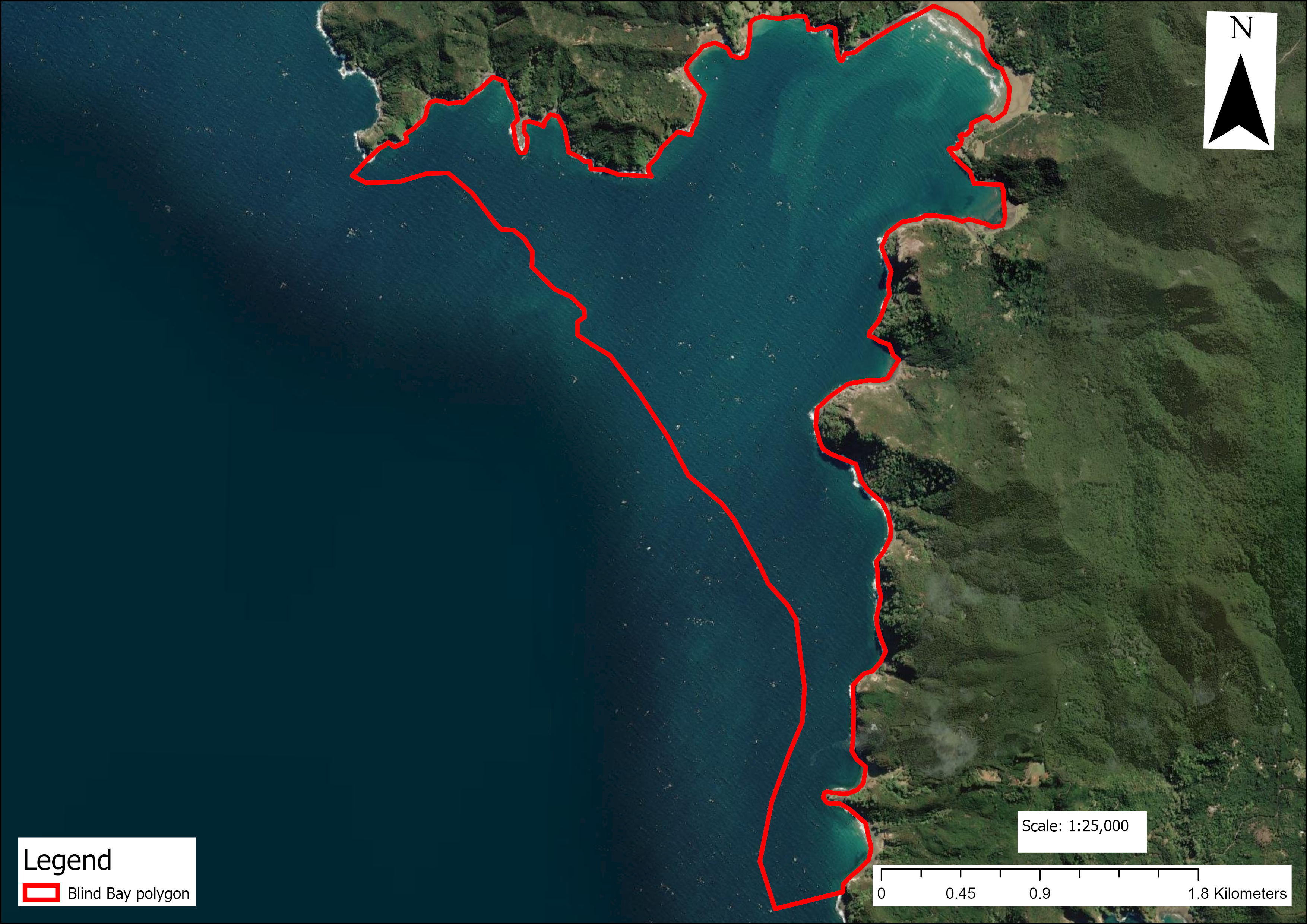 Caulerpa brachypus: a non-native seaweed | Biosecurity | NZ Government