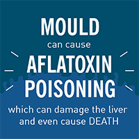 Mould can cause aflatoxin poisoning, which can damage the liver and even cause death