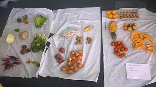 The range of fruit and vegetables and other produce that were hidden aboard a visiting yacht