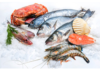 Importing seafood products