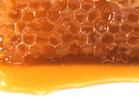 Exporting honey