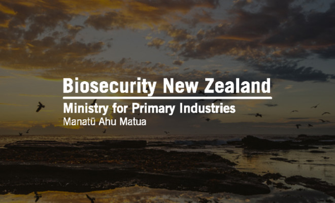 Biosecurity New Zealand logo overlaid on birds flying at sunset.